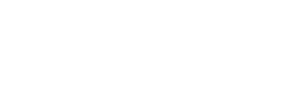 Wit logo Verhuisbedrijf De Toekomst