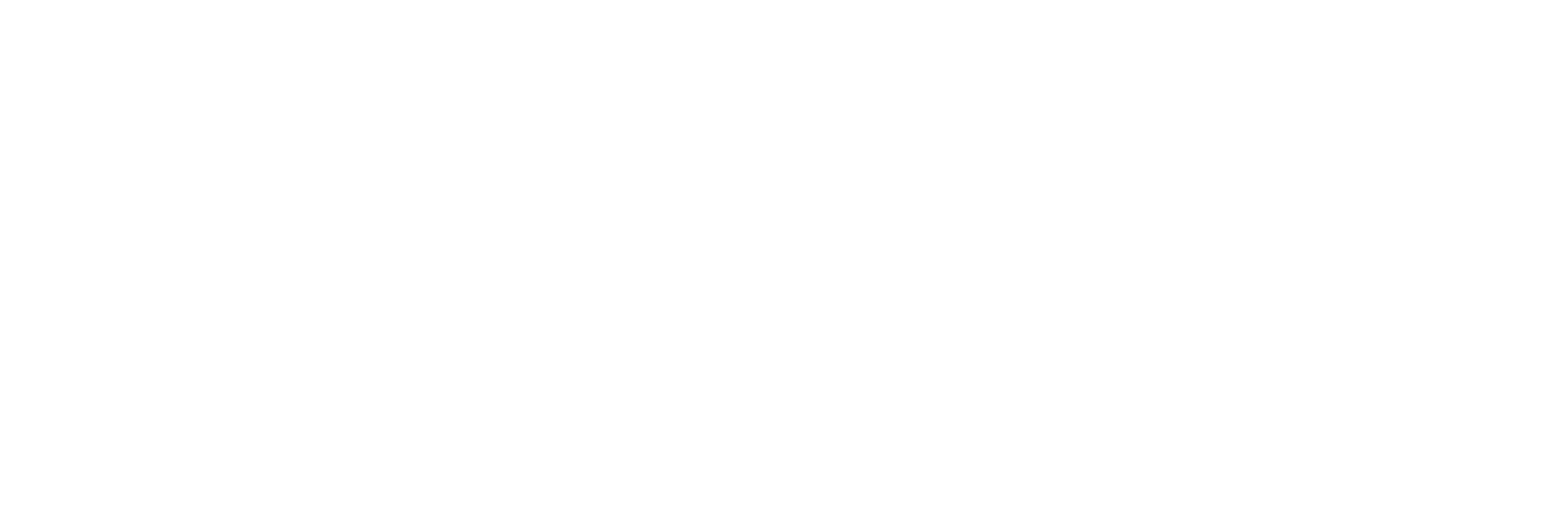 Wit logo Verhuisbedrijf De Toekomst